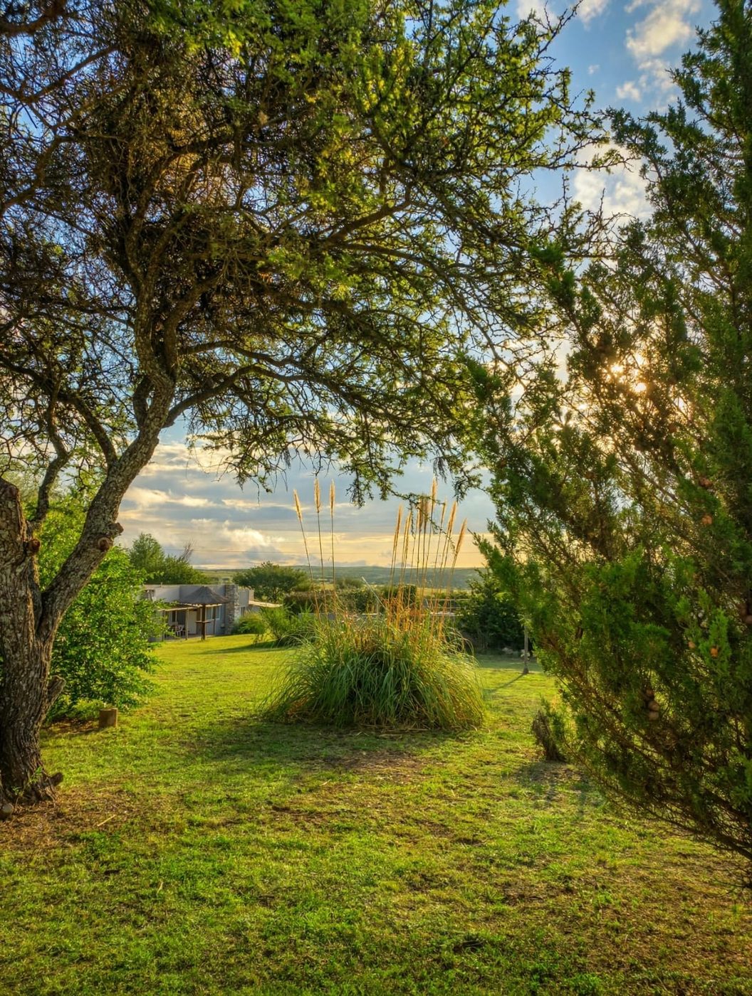 El parque entre los árboles